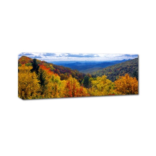 Doug Cavanah 'Autumn Forest' Canvas Art,16x47